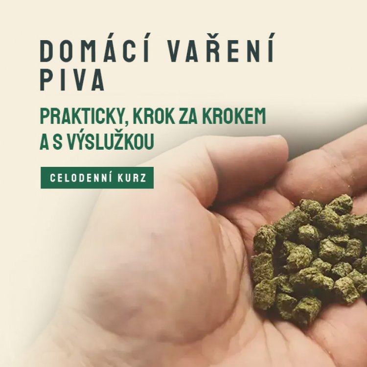 Domácí vaření piva